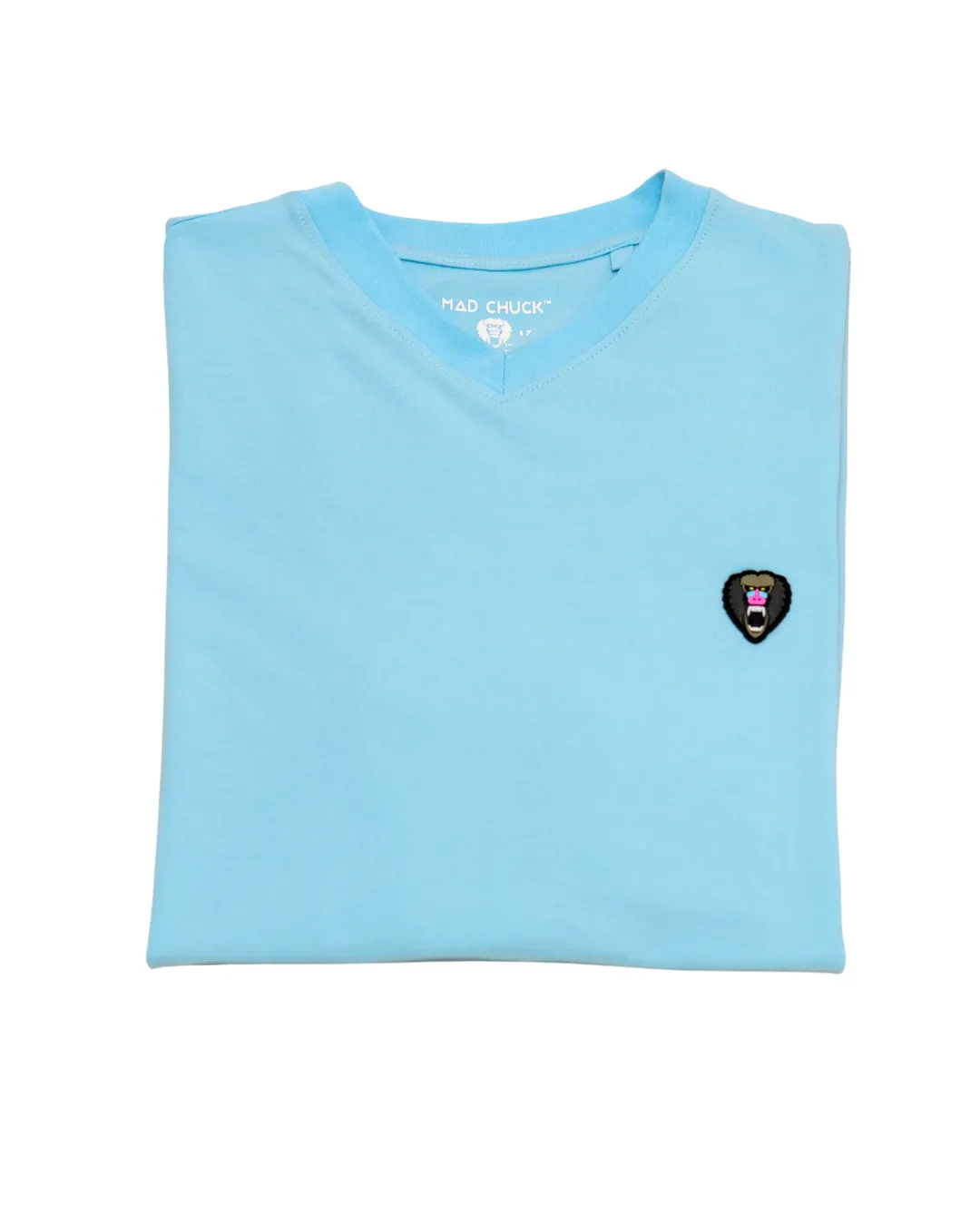 BABY BLUE V NECK