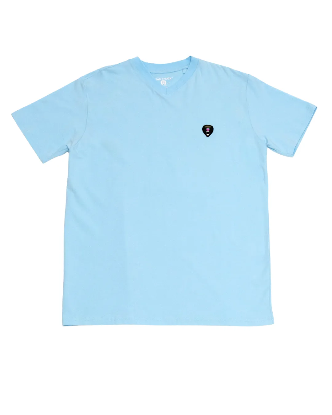 BABY BLUE V NECK