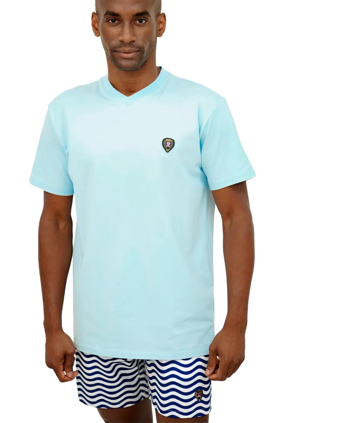 BABY BLUE V NECK