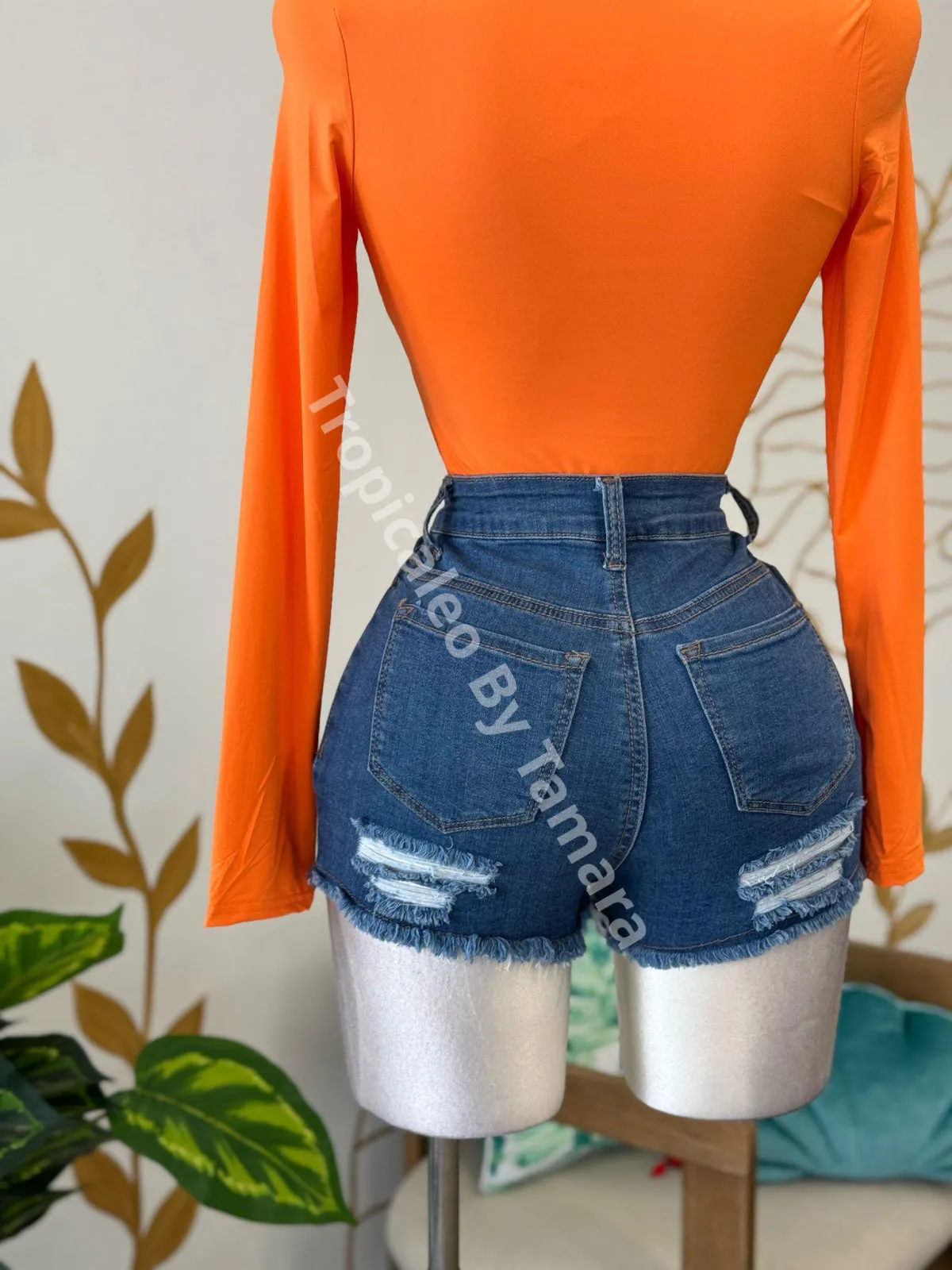 Blue Crush Denim Shorts