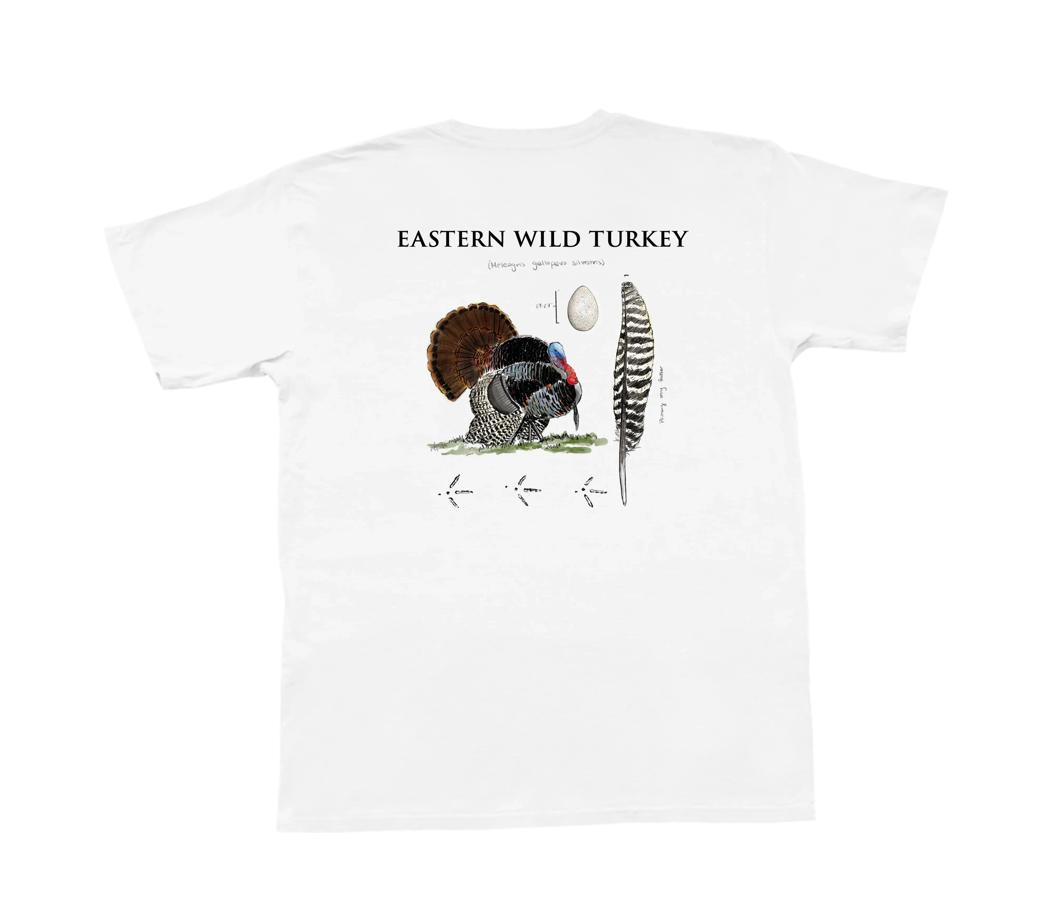 Eastern Wild Turkey Short Sleeve (White)