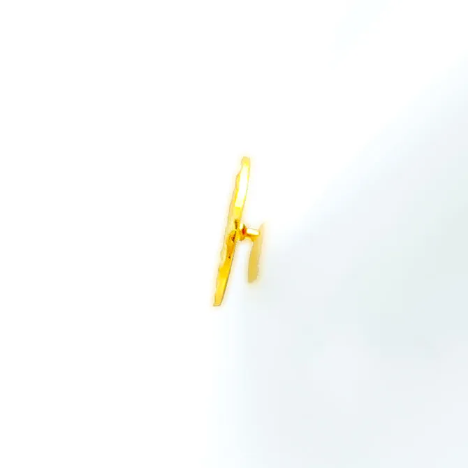 Exquisite Chic 22k Gold Coin Earrings