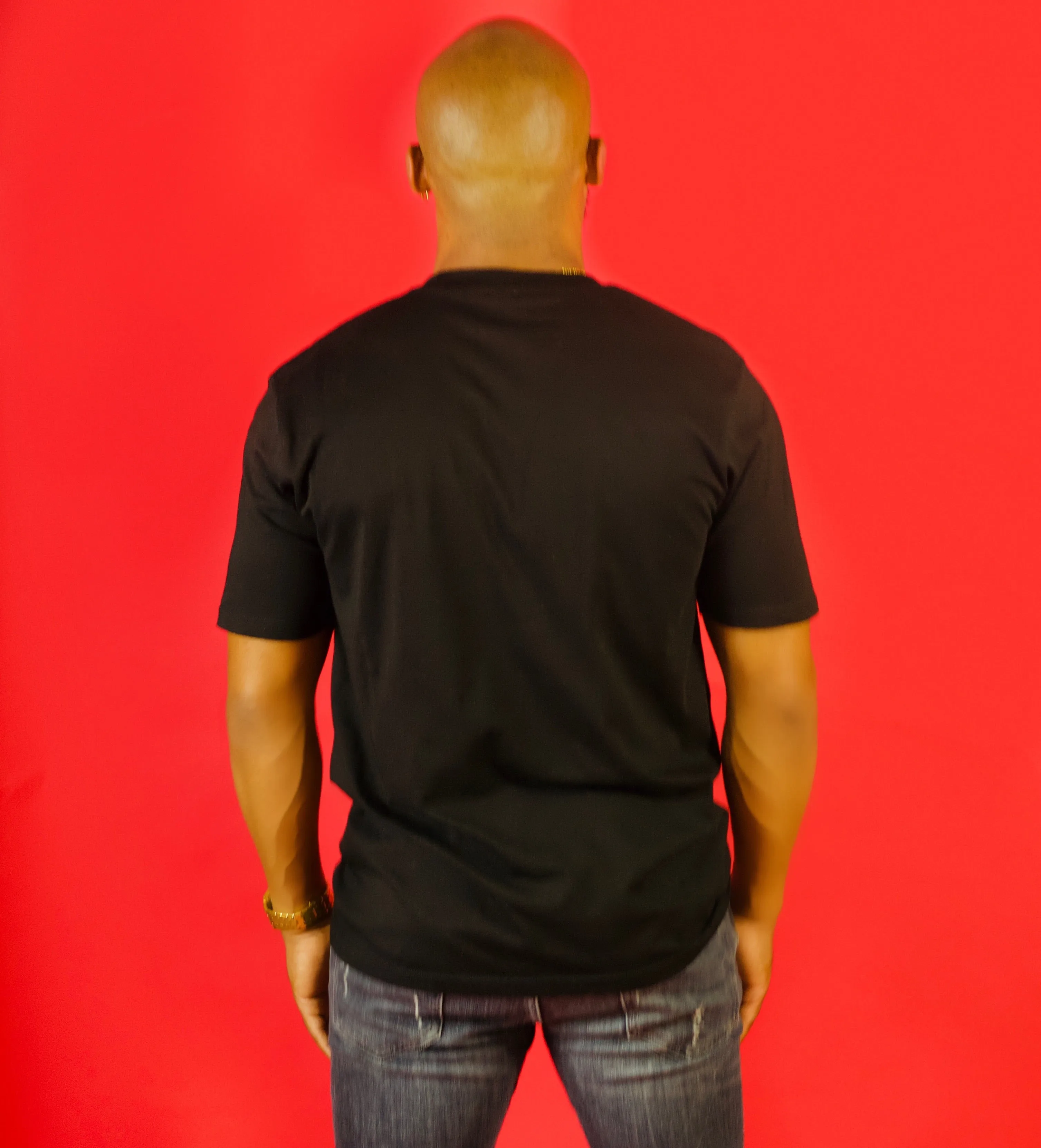 Fallon Aurielle Unisex Signature Classic T-Shirt (Black & Silver)