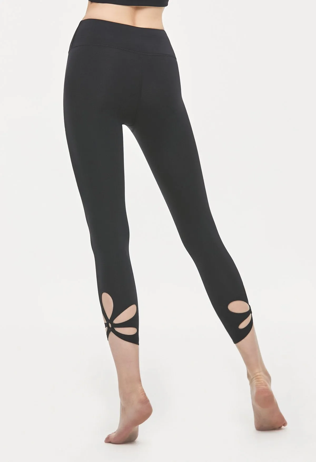 Fiesta Crop 20.5"