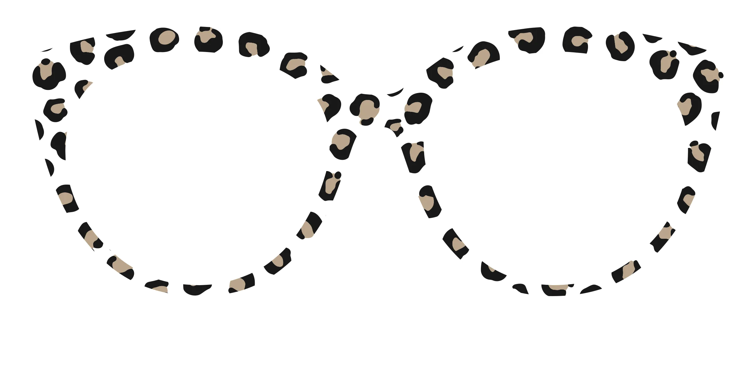 The Classic Cheetah
