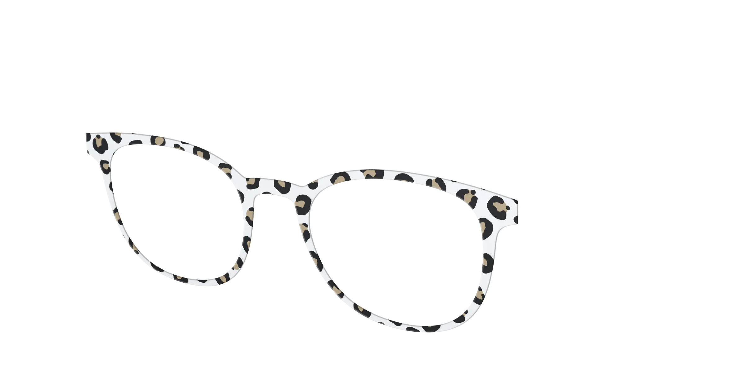 The Classic Cheetah